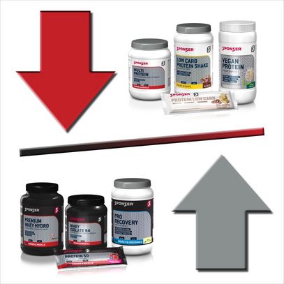 PROTEIN-EMPFEHLUNGEN