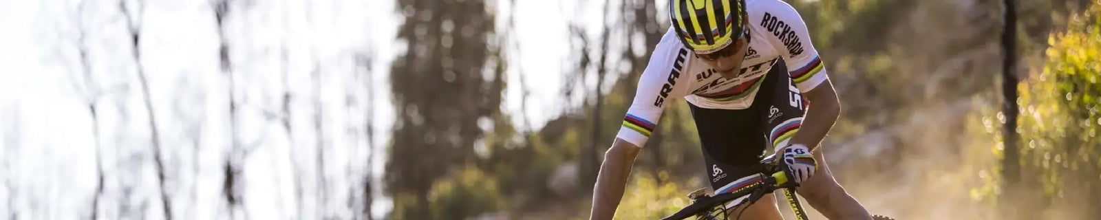 PROFI- & LEISTUNGSSPORT